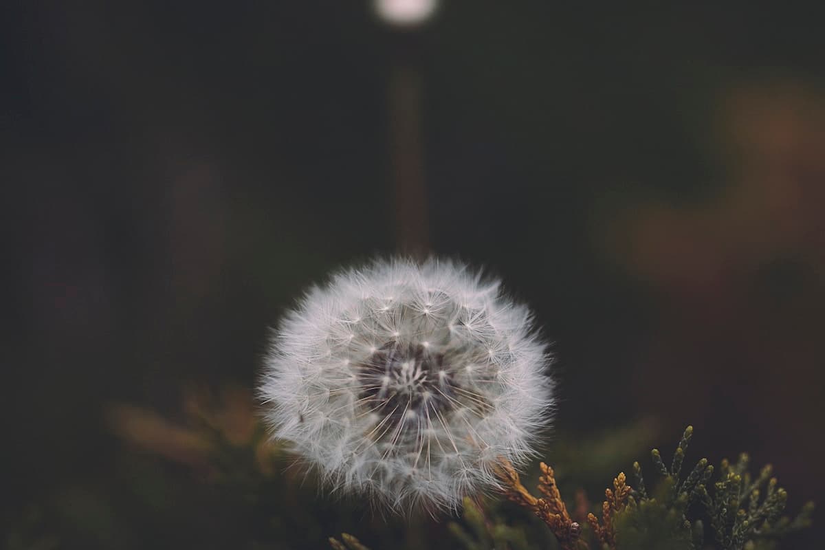 Onderschoeiing en kelderuitgraving van een pand in het centrum van Brussel
